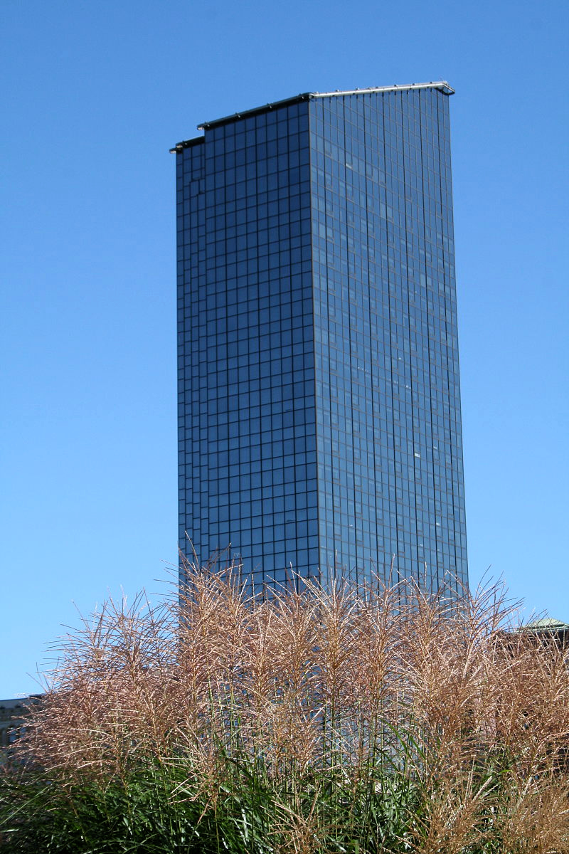 Obeliskenhafter Wolkenkratzer in Grand Rapids mit herbstlichem Gras im Vordergrund.